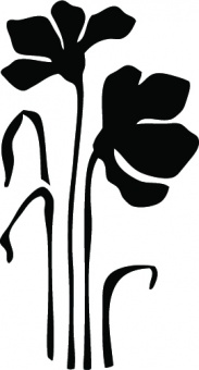Naklejka Flora 102