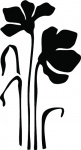 Kliknij aby zobaczyć zdjęcie w oryginalnej wielkości