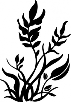 Naklejka Flora 104