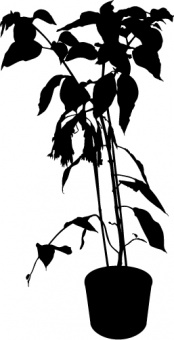 Naklejka Flora 29 Naklejka Flora 29
