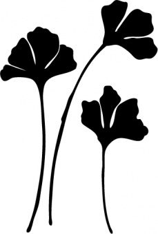 Naklejka Flora 92 Naklejka Flora 92