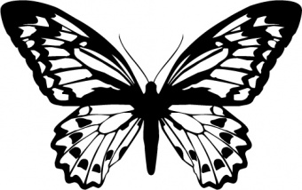 Naklejka Motyl 2
